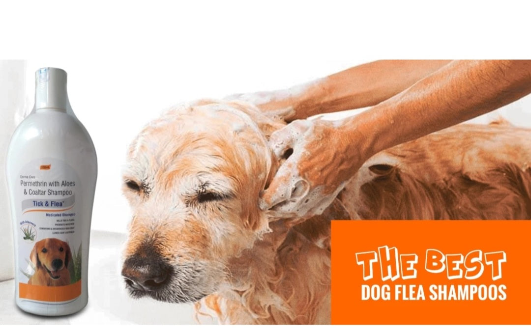 Pil Tick And Flea Shampoo With Aloevera, Anti itching, Anti parasitic, Alle4gy relief Dog shampoo(500ml)